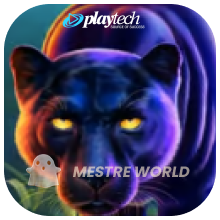 PLAYTECH214